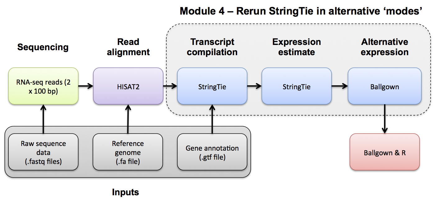 RNA-seq Flowchart - Module 5