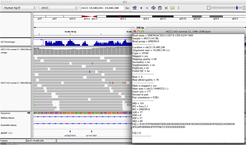 Viewing read information for a single aligned read