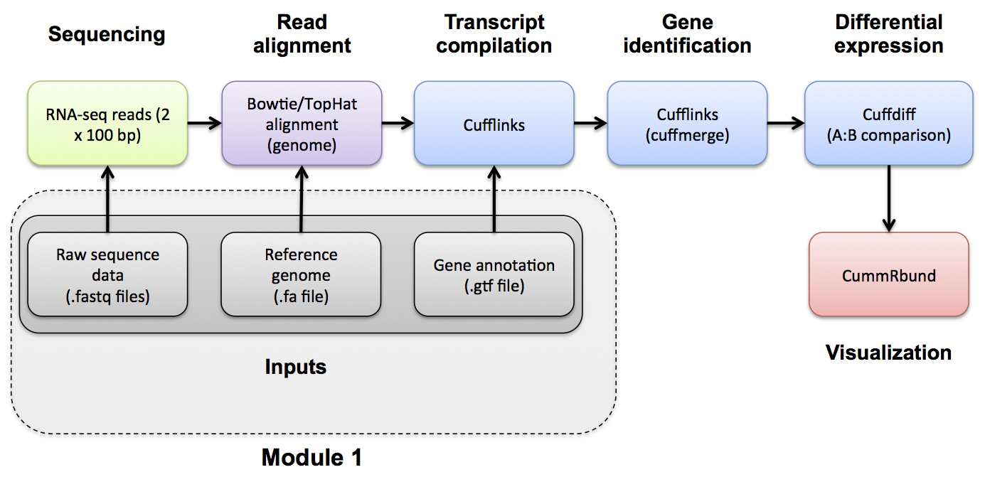 RNA-seq Flowchart - Module 2